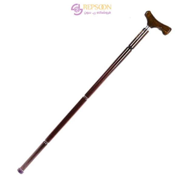 Tessy's-TR03-brand-loop-design-wooden-Lord's-cane-min